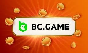 Understanding the BC.Game Verification Process A Guide for Users
