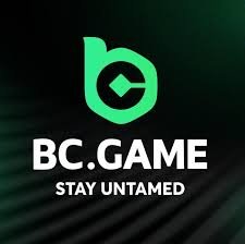 Understanding the BC.Game Verification Process A Guide for Users