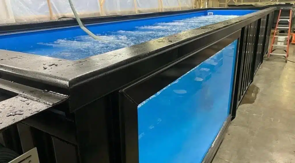 40Ft Container Swimming Pools 4 40Ft Container Swimming Pools - Image 4